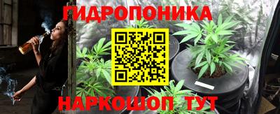 PSILOCYBIN Кулебаки