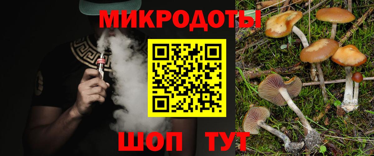 Галлюциногенные грибы MAGIC MUSHROOMS Вязники