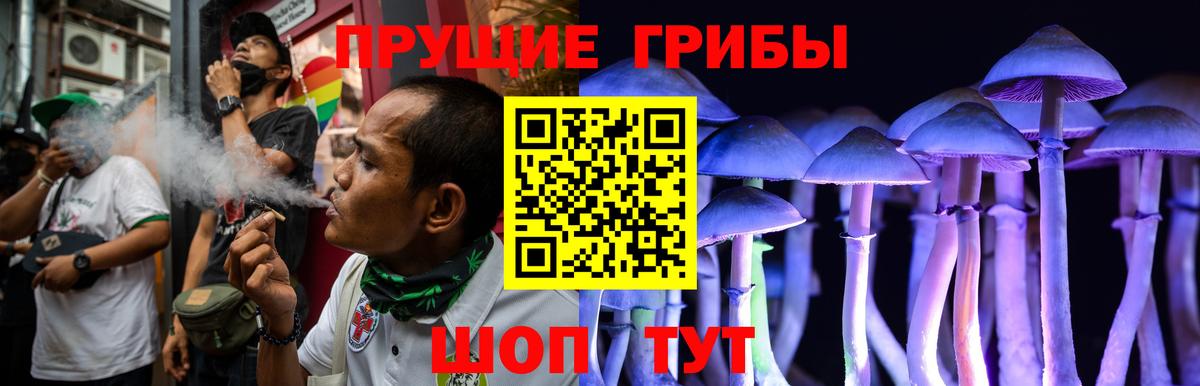 Вязники  Псилоцибиновые грибы мицелий  магазин  наркотиков  Вход с VPN 